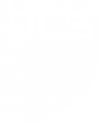 Professional member of the British Computer Society logo