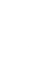 Professional member of the British Computer Society logo